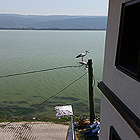 Gölyazı