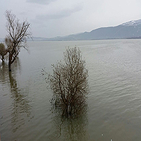 Gölyazı