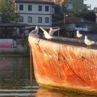 Gölyazı