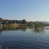 Gölyazı