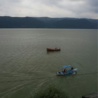 Gölyazı